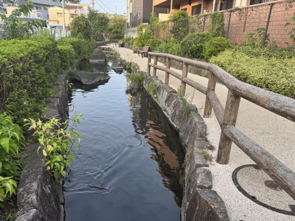 入江川せせらぎ緑道