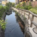 入江川せせらぎ緑道
