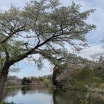 神奈川県立三ツ池公園