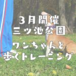3月愛犬トレーニング三ツ池公園イベント
