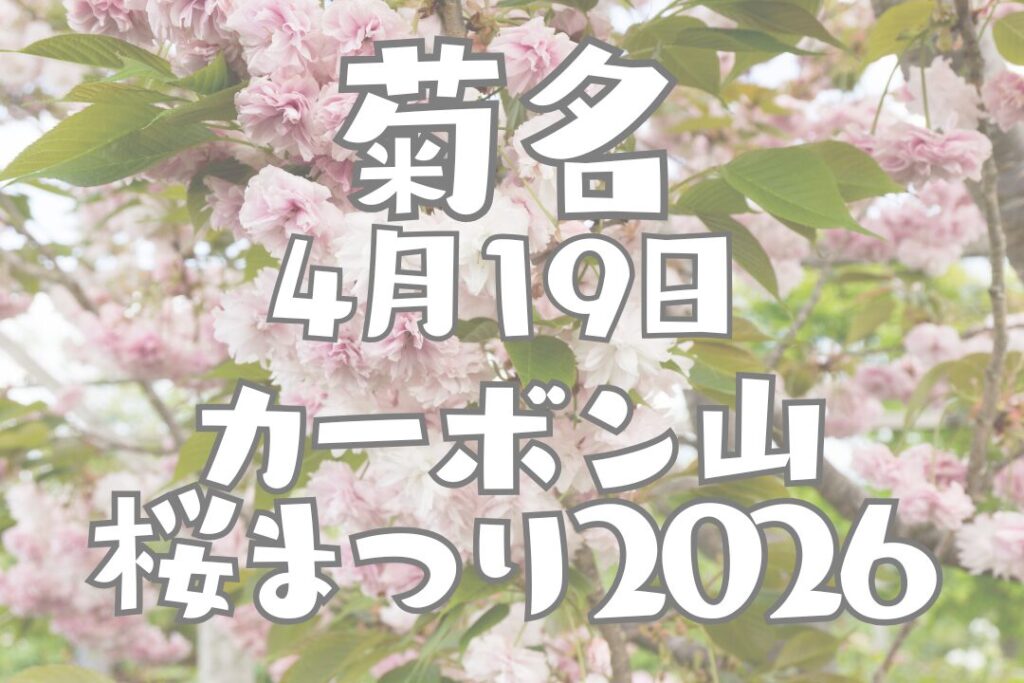 2026年4月19日菊名　桜山公園　カーボン山　桜祭り開催