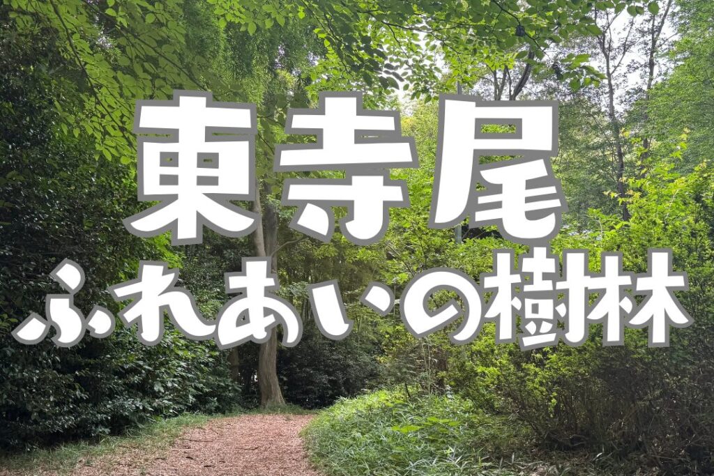 横浜市鶴見区東寺尾　フレイ樹木