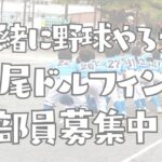 横浜市鶴見区を拠点に活動する軟式野球チーム寺尾ドルフィンズ