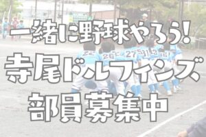 横浜市鶴見区を拠点に活動する軟式野球チーム寺尾ドルフィンズ